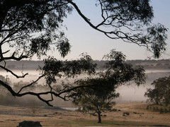 澳大利亚游记图片] 图片直播澳大利亚乡村内陆希托普斯（Hilltops）秋晨的水墨仙境