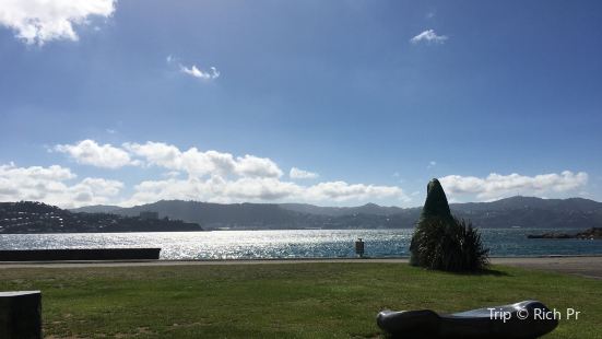 Shelly Bay