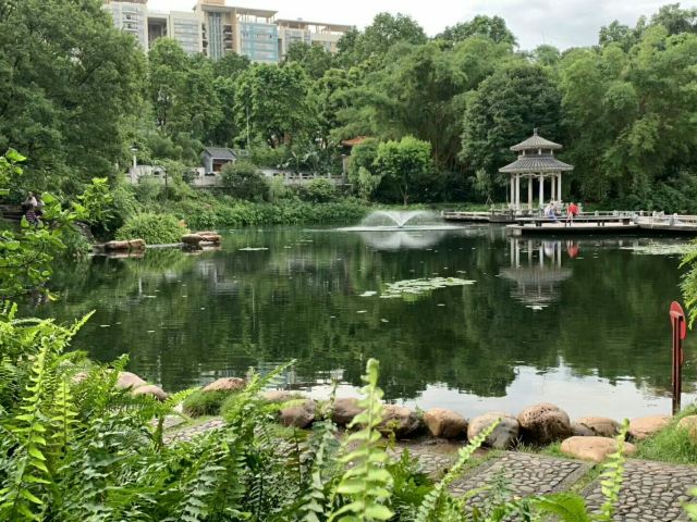 东莞人民公园旅行图片 2