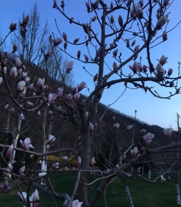 王大花铁锅炖(韩家屯总店)