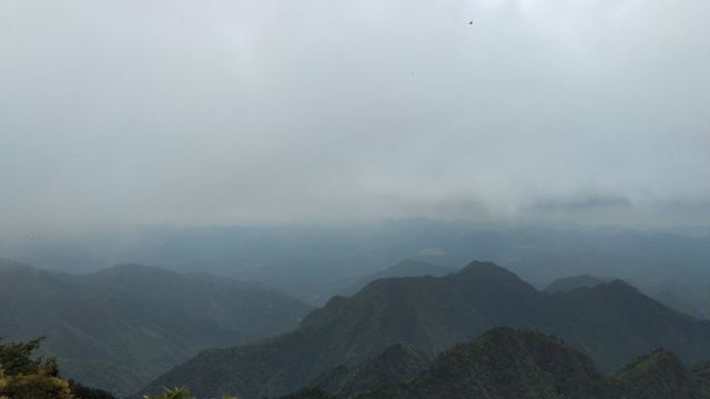 九龙山国家级自然保护区旅行图片 3