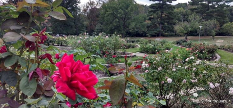 Washington Park Botanical Gardens Tickets Deals Reviews