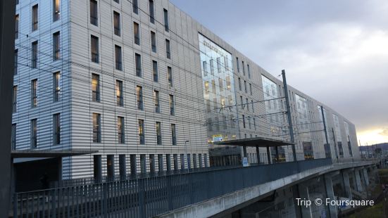 Sutter Begg Reviews Food Drinks In Basel Stadt Basel Trip Com