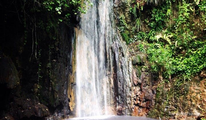Diamond falls botanical gardens Diamond falls botanical gardens