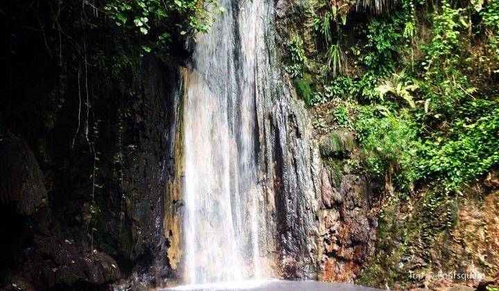 Diamond falls botanical gardens