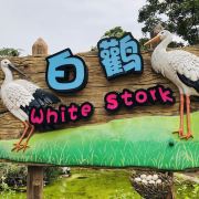 图片 3
