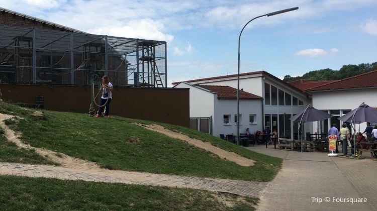 Vogelpark Schotten Travel Guidebook Must Visit Attractions In