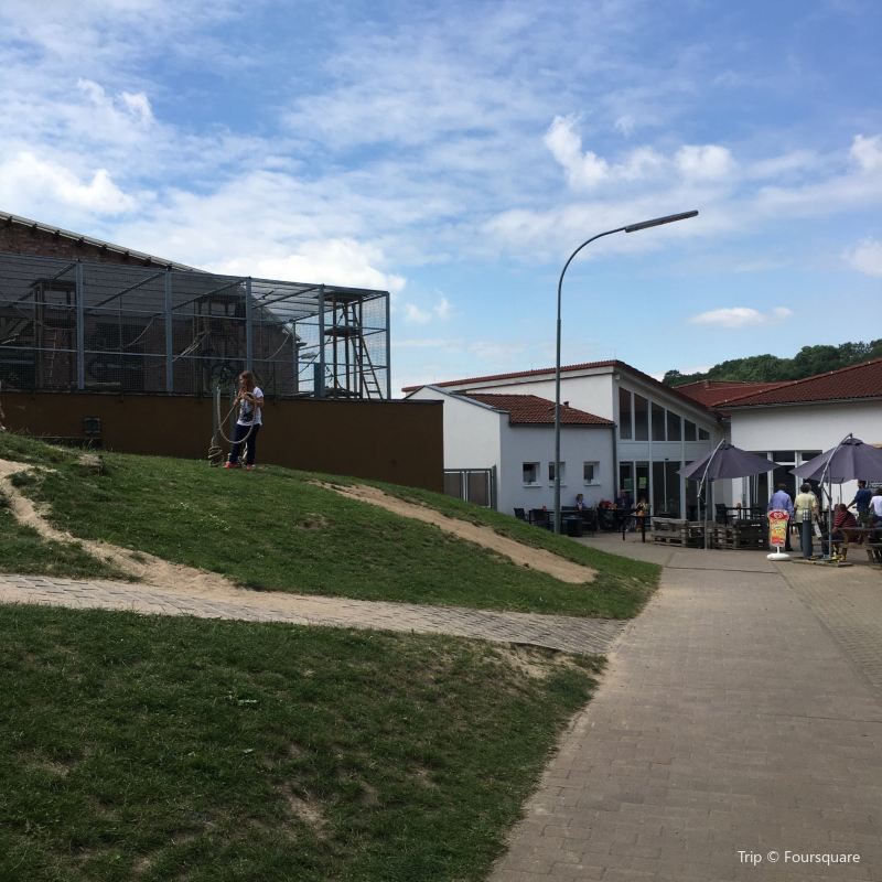 Vogelpark Schotten Travel Guidebook Must Visit Attractions In