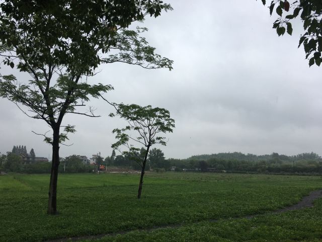 良渚文化村