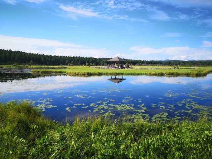 滨水湿地