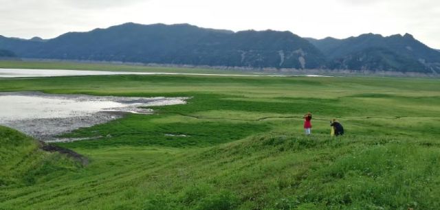 振江镇绿江村景点旅行图片 1
