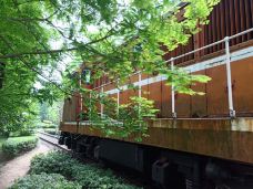 宁波植物园-宁波-YoYo_5S1G5H4K