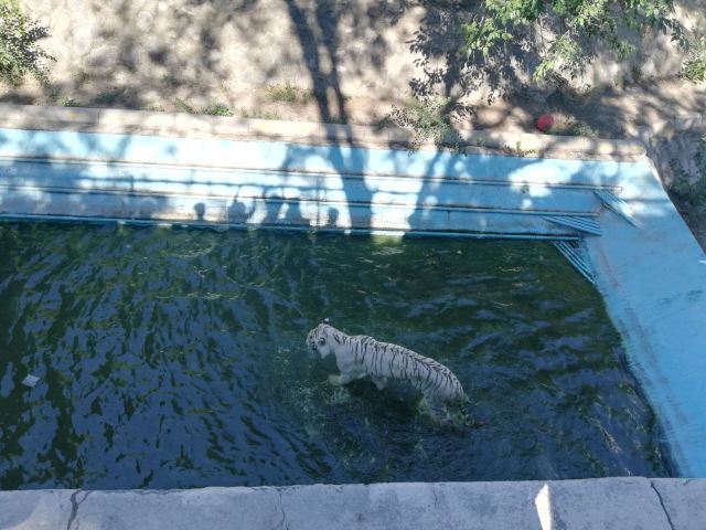 Beijing Zoo