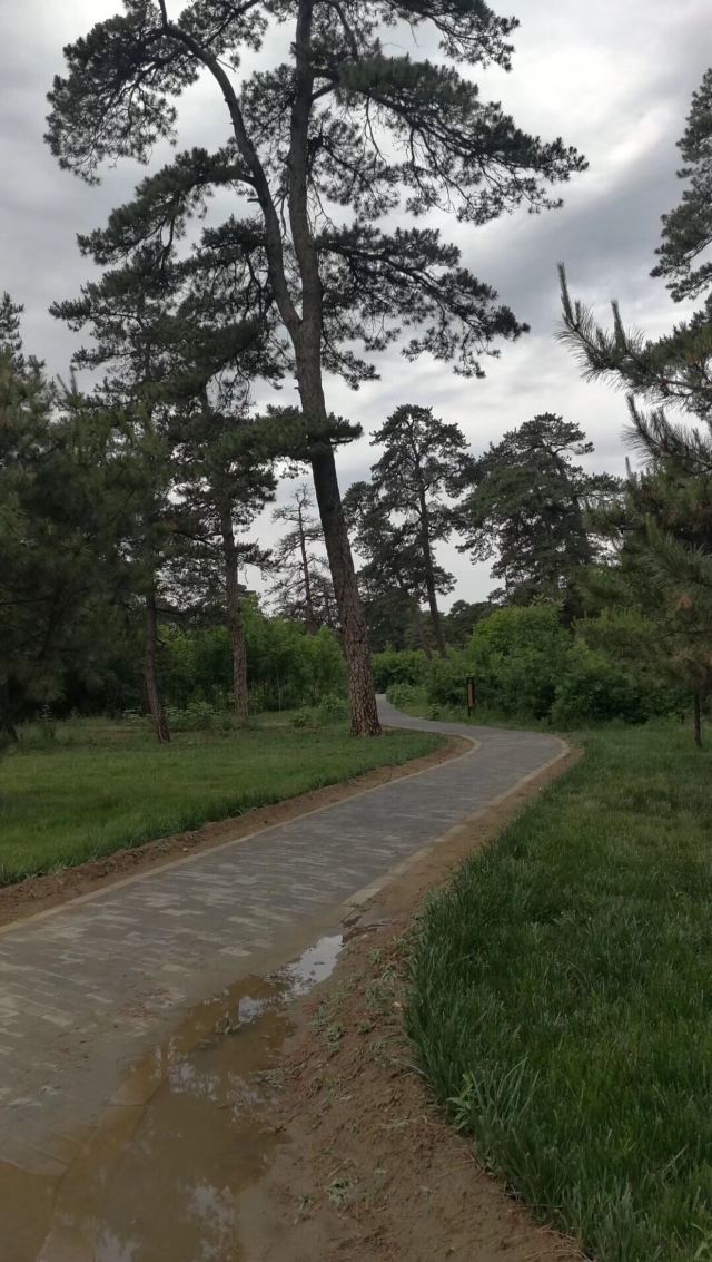 文秀湖公园旅行图片 3