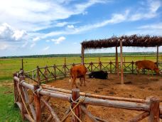 苏泊罕大草原旅游景区-伊金霍洛旗-尘世如潮人如水Zx