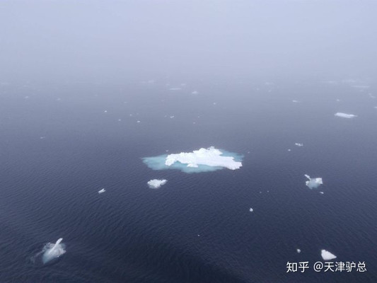 万千浮冰无尽美。北极8.