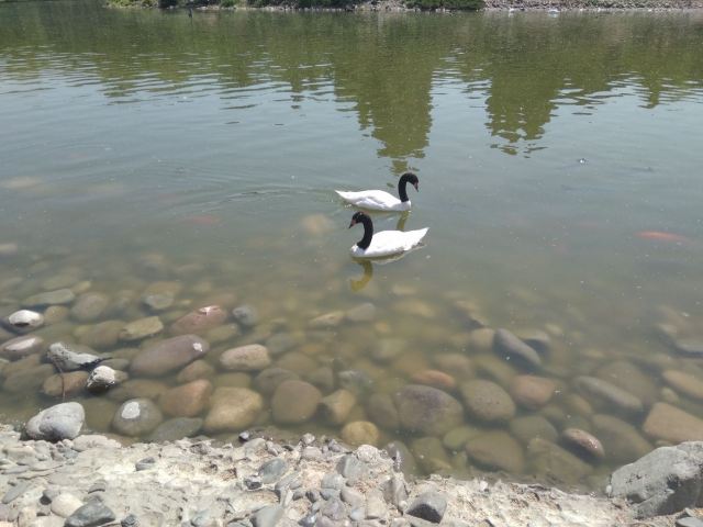 Beijing Wildlife Park