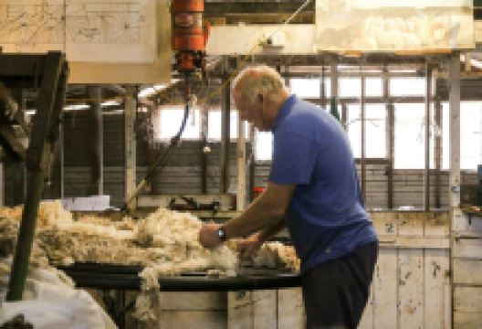 澳大利亚羊毛乐园景点图片