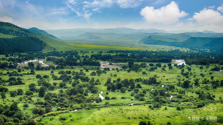 7-day 6-night · Private Tour · China + Inner Mongolia + Heilongjiang + Hulunbuir + Harbin Sophia Square + Hulunbuir Grasslands