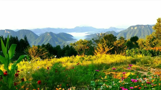 望遠山旅遊度假區