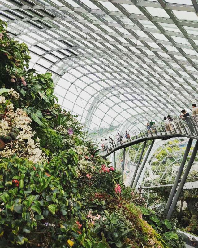 新加坡濱海灣花園