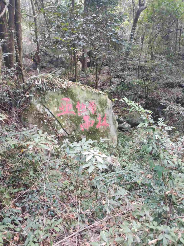 屏山悬索玻璃桥旅行图片 2