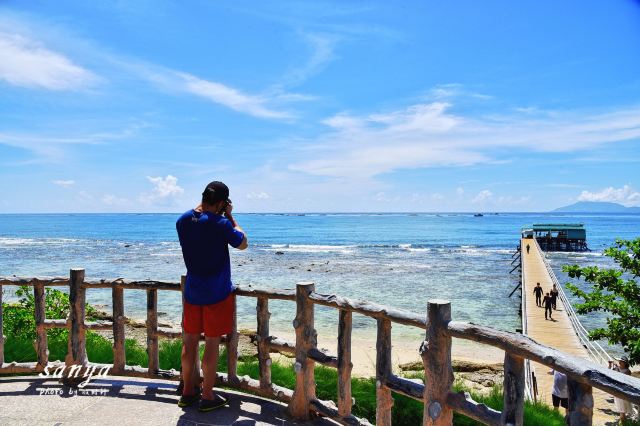 西島