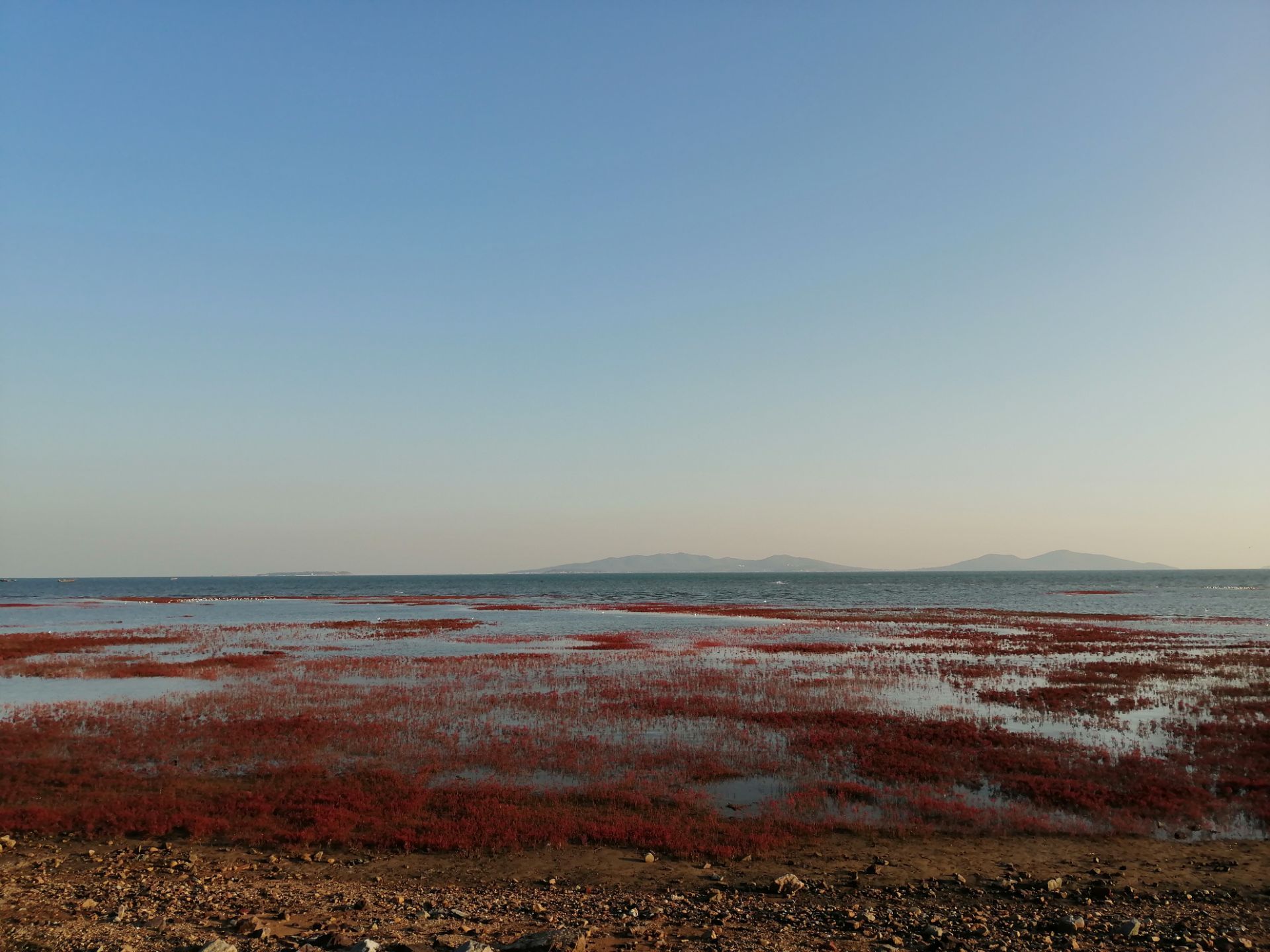 红海滩