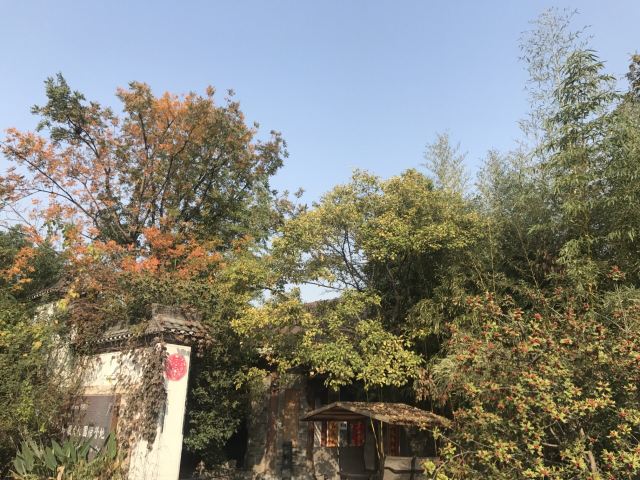 刘园古徽州文化园旅行图片 5