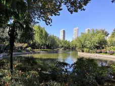 和平公园-上海-BetTerDAY