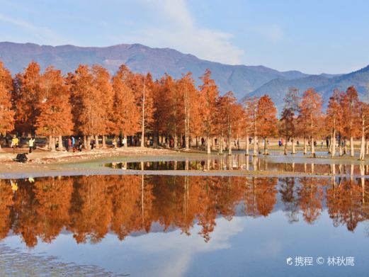奇墅湖