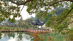 郎溪游记图片] 中国绿茶之乡郎溪，一个绝美小县城，来这寻找诗和远方吧