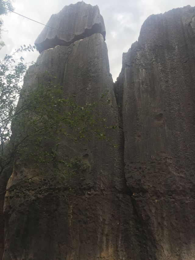 乃古石林风景区旅行图片 3