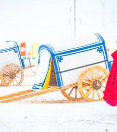 西乌旗游记图文-冬季的锡林郭勒，来自草原的一场盛会