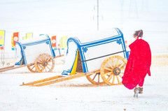 西乌旗游记图片] 冬季的锡林郭勒，来自草原的一场盛会