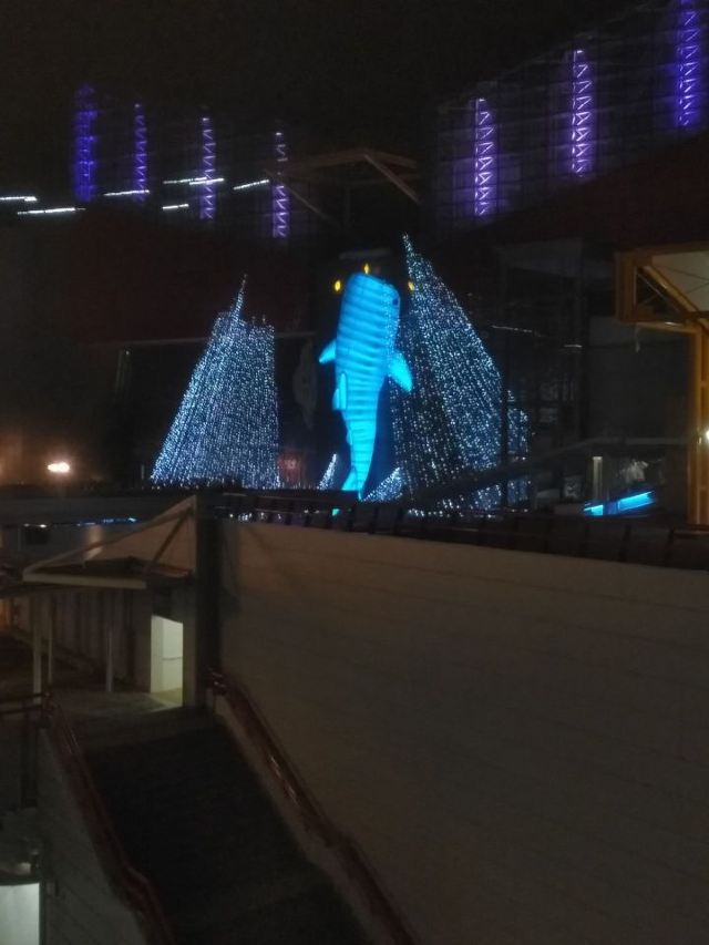 Tempozan Giant Ferris Wheel