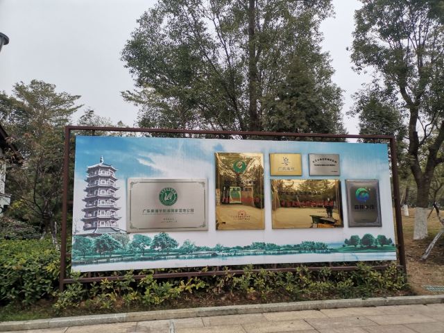 华阳湖国家湿地公园旅行图片 4