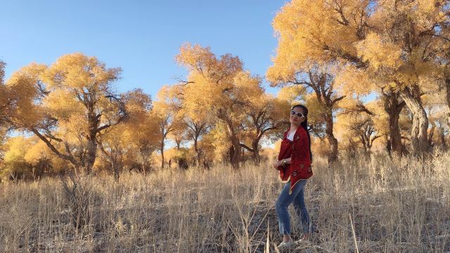 胡杨林旅行图片 2