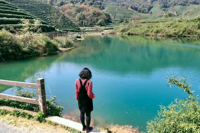 光明寺旅行图片 1