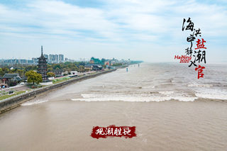 海洪宁静，盐潮入官，百里钱塘，春暖花开--驾“浙”观大潮访金庸、赏樱花睡房车