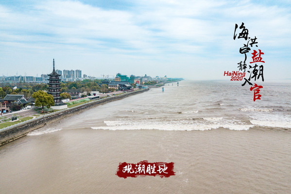 海洪宁静,盐潮入官,百里钱塘,春暖花开--驾“浙”观大潮访金庸、赏樱花睡房车
