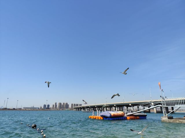 滨海公园旅行图片 7