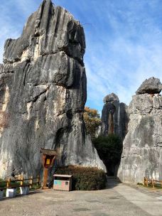 李子箐石林-石林-一只小戆度