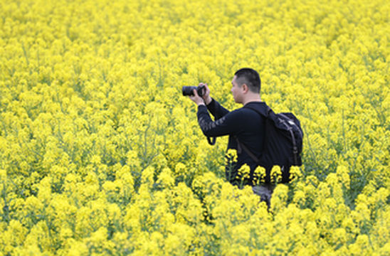 踏春赏花正当时，打卡千垛水上油菜花！48小时玩转兴化景点美食全攻略