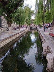 曲水亭街-济南-资深喵