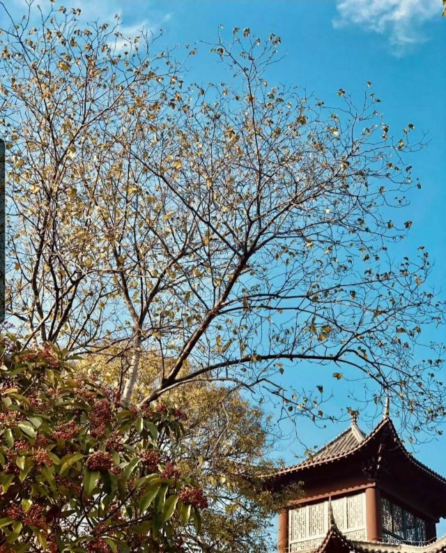 码头潭文化遗址公园旅行图片 3