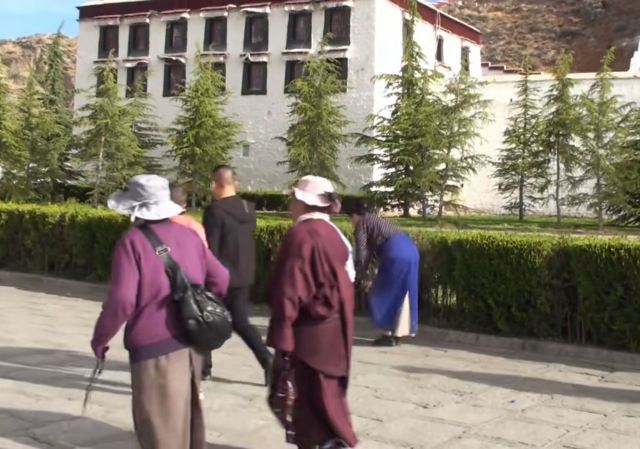 新铜牛广场旅行图片 2