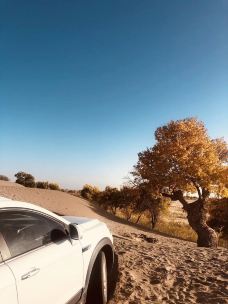 塔里木沙漠公路-且末-乐乐大乐乐dolores