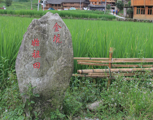 去桂林金坑梯田,有个环龙阁全景客栈,在此看日出美哭了我!