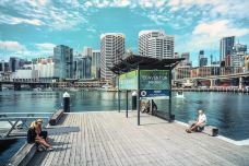 科克湾码头-悉尼-doris圈圈